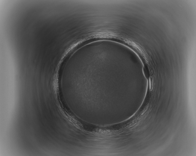 X0000116450531200912081620