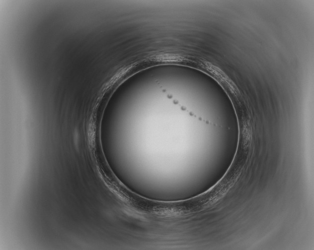 X0000116450533200912081620