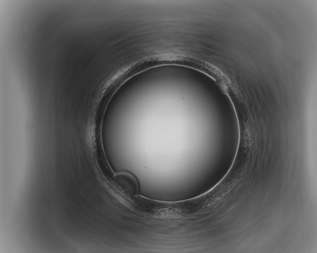X0000116450535200912081620