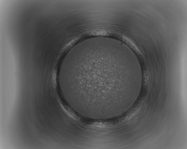 X0000116450538200912081620