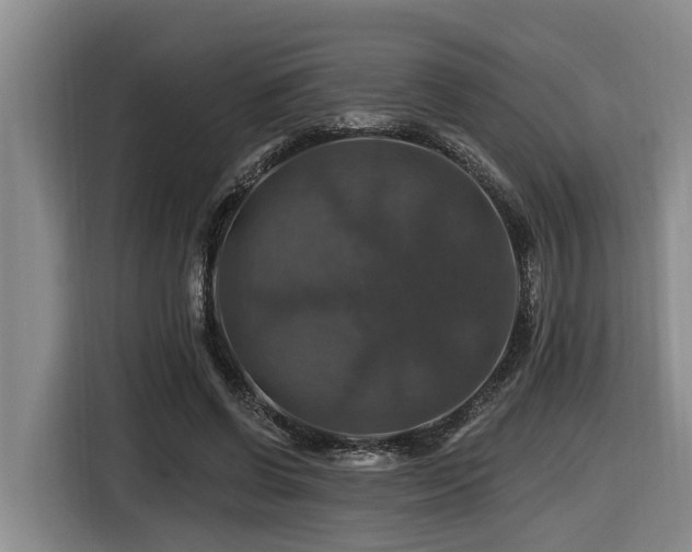 X0000116450542200912081620