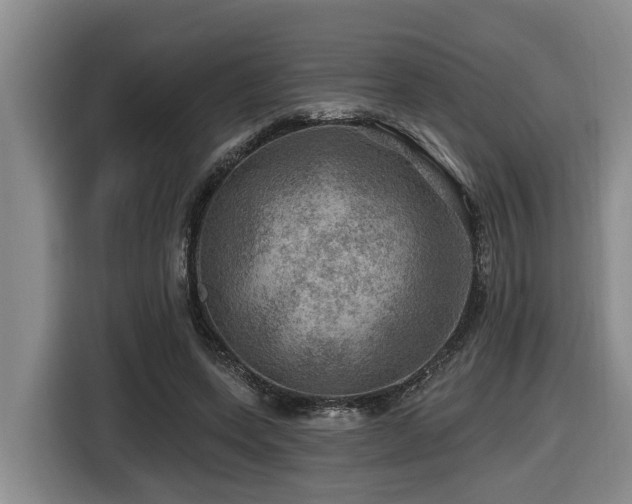 X0000116450543200912081620