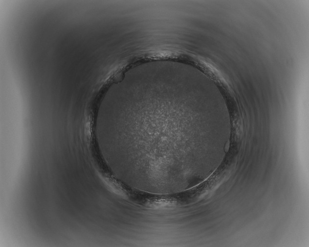 X0000116450546200912081620