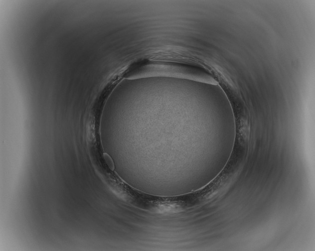 X0000116450547200912081620
