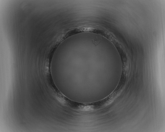 X0000116450553200912081620