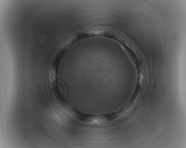 X0000116450555200912081620