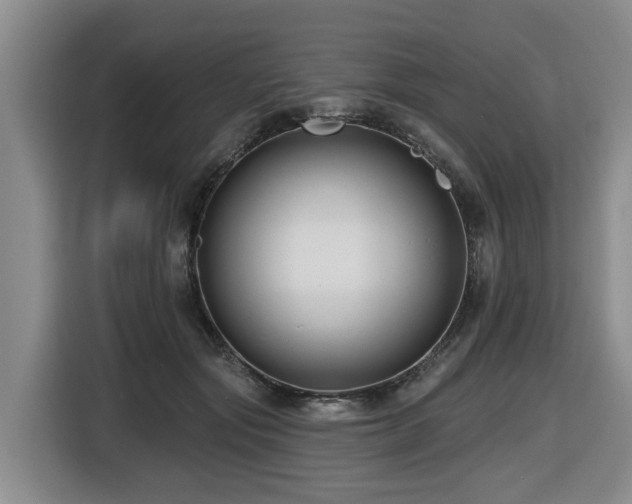 X0000116450557200912081620