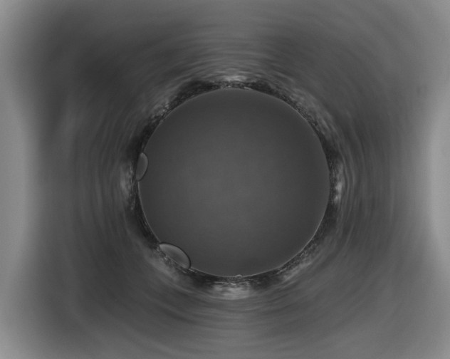X0000116450559200912081620