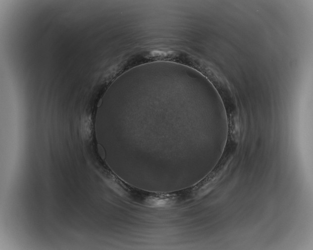 X0000116450563200912081620