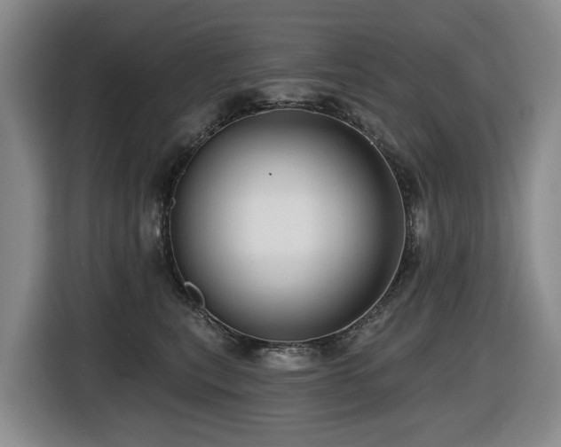 X0000116450567200912081620