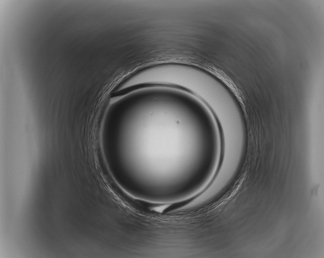 X0000116450577200912081620