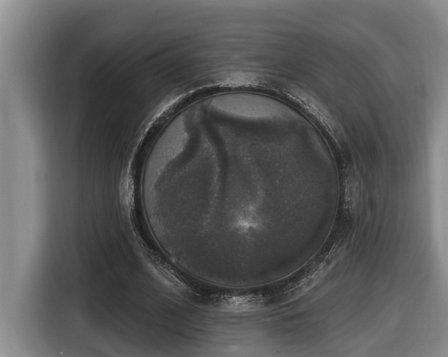X0000116450584200912081620