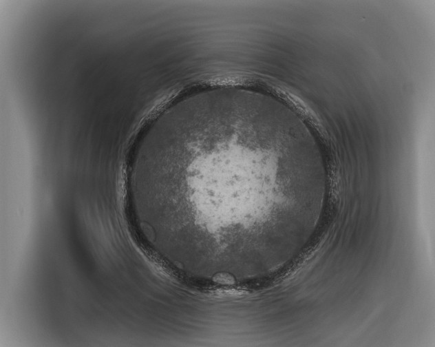 X0000116450586200912081620