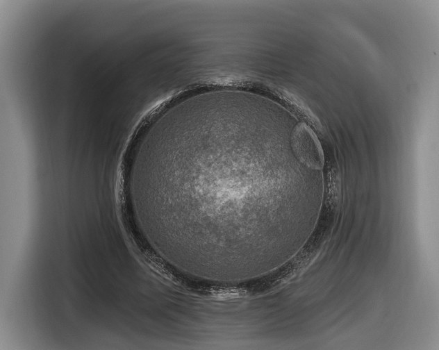 X0000116450587200912081620