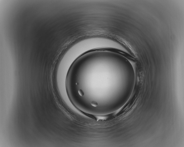 X0000116450589200912081620