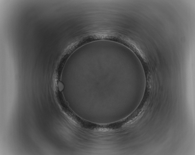 X0000116450590200912081620