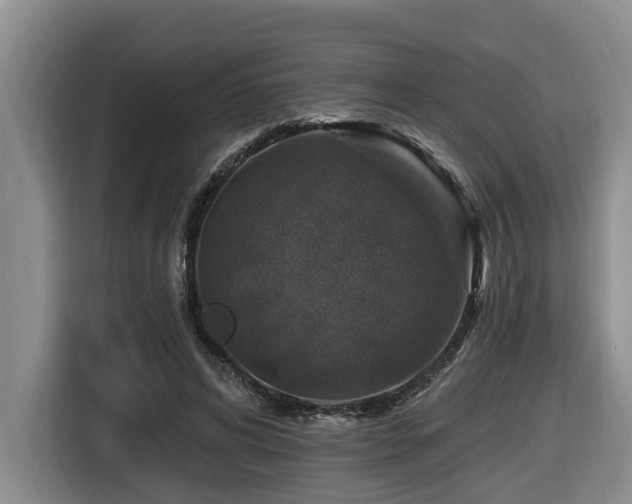 X0000116450592200912081620