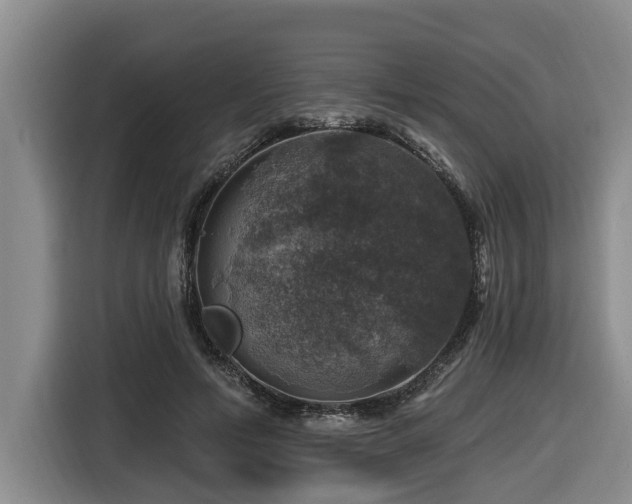 X0000116450594200912081620