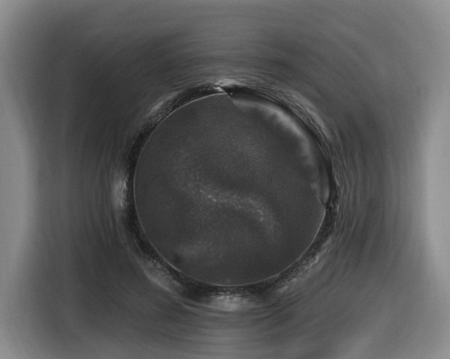 X0000116450596200912081620