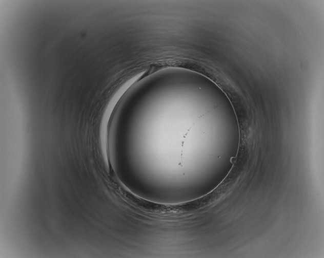 X0000116450599200912081620