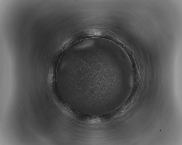 X0000116450600200912081620