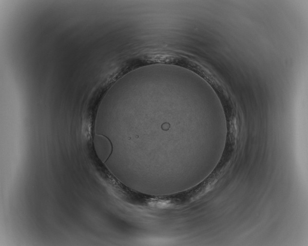 X0000116450602200912081620