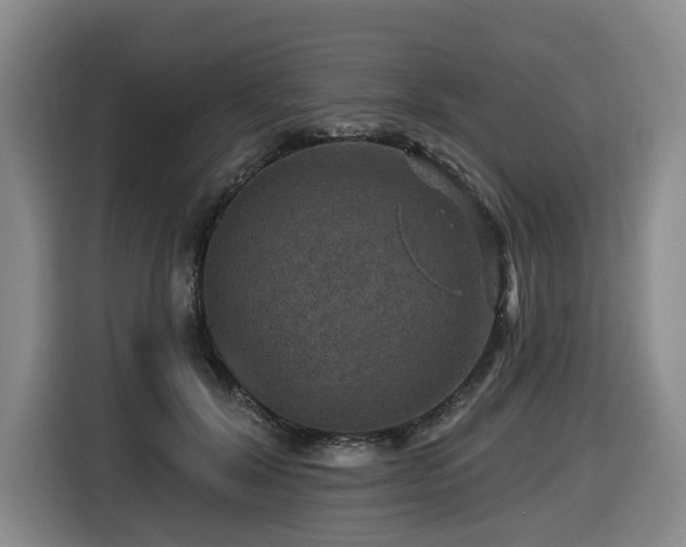 X0000116450604200912081619
