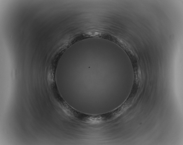 X0000116450606200912081619