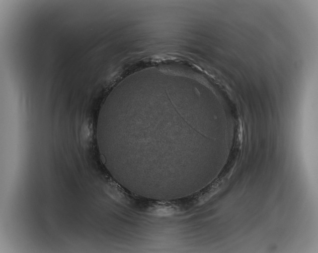 X0000116450608200912081619