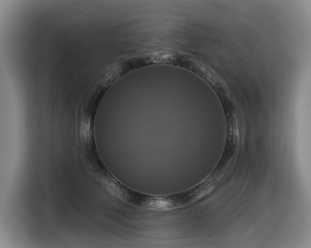 X0000116450610200912081619