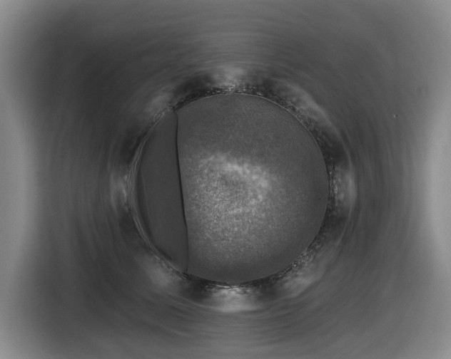 X0000116450611200912081619