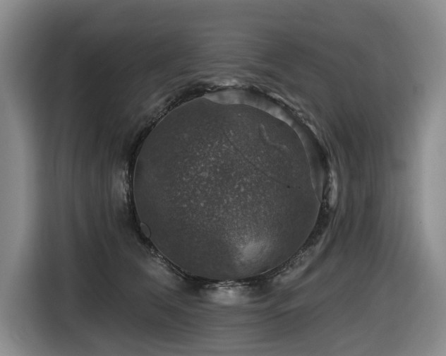 X0000116450612200912081619