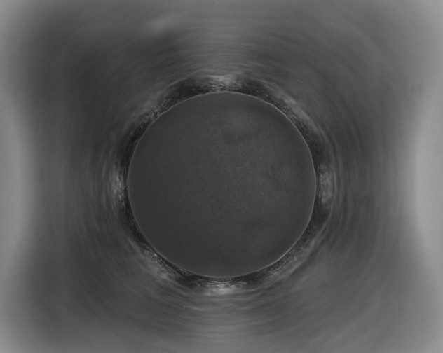 X0000116450613200912081619