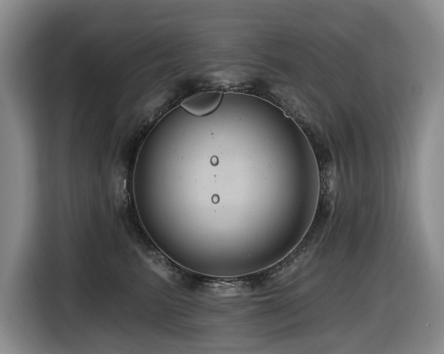 X0000116450615200912081619