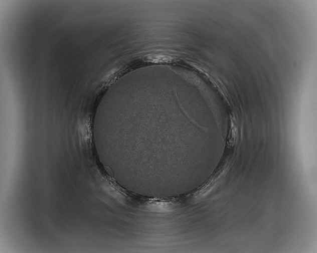 X0000116450620200912081619