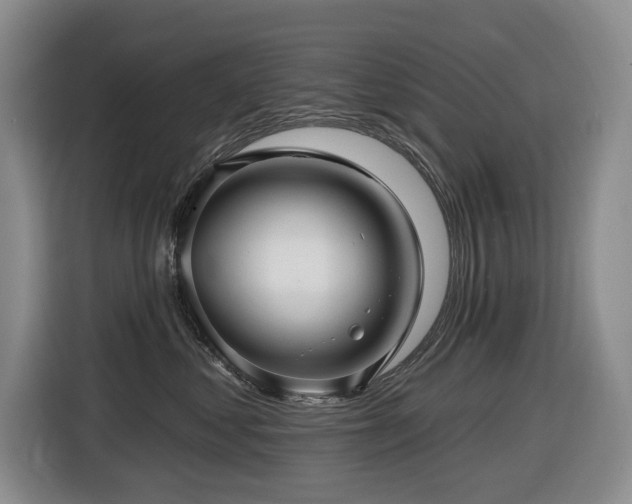 X0000116450621200912081619