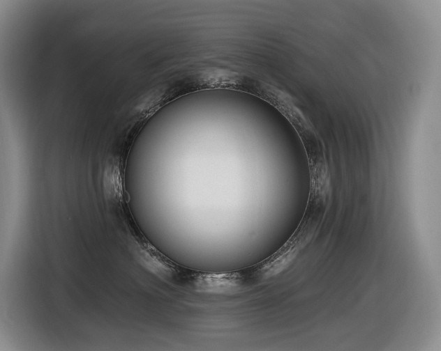 X0000116450622200912081619