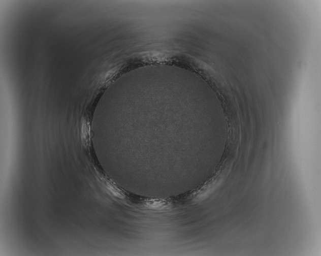 X0000116450624200912081619