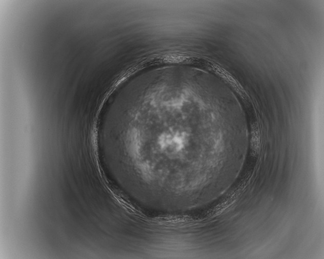 X0000116450626200912081619