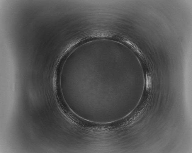 X0000116450627200912081619