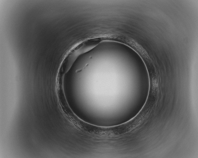 X0000116450628200912081619