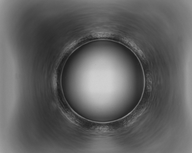 X0000116450631200912081619