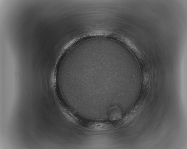 X0000116450632200912081619