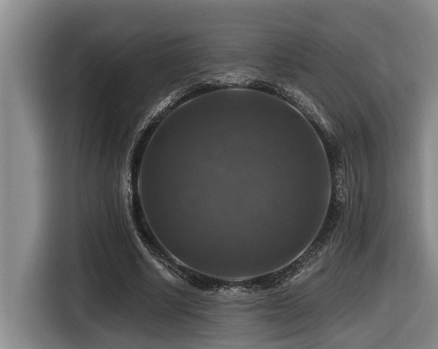 X0000116450634200912081619