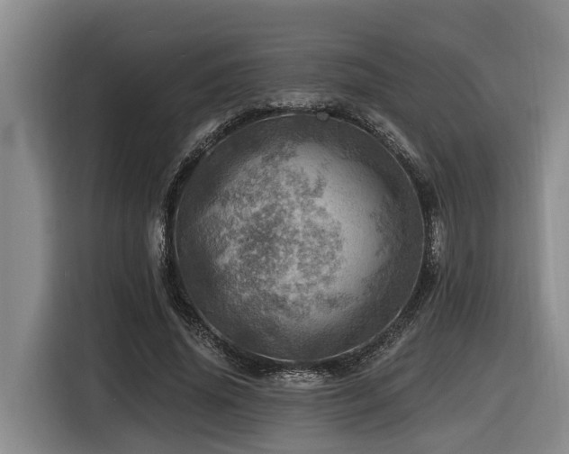 X0000116450636200912081619