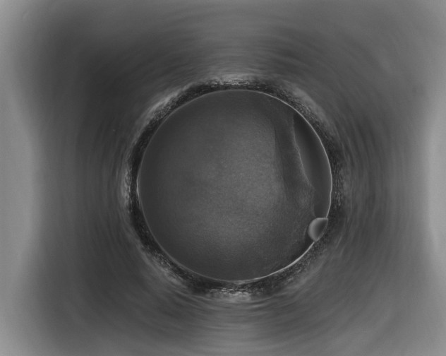 X0000116450640200912081619