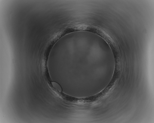 X0000116450641200912081619