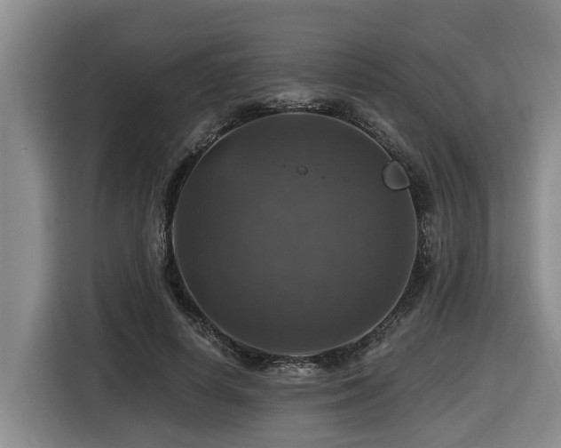 X0000116450642200912081619