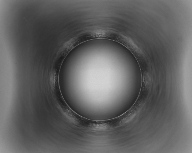 X0000116450645200912081619