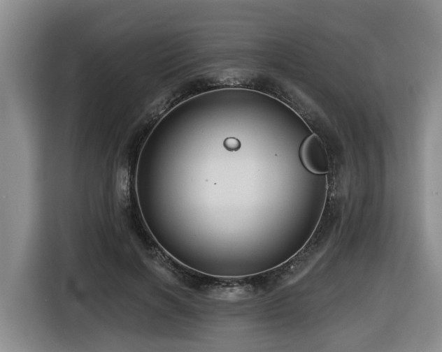 X0000116450646200912081619